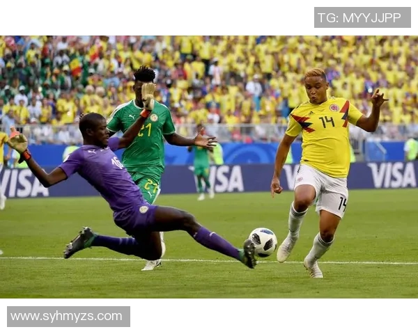 非洲杯精彩对决南非迎战喀麦隆谁能笑到最后